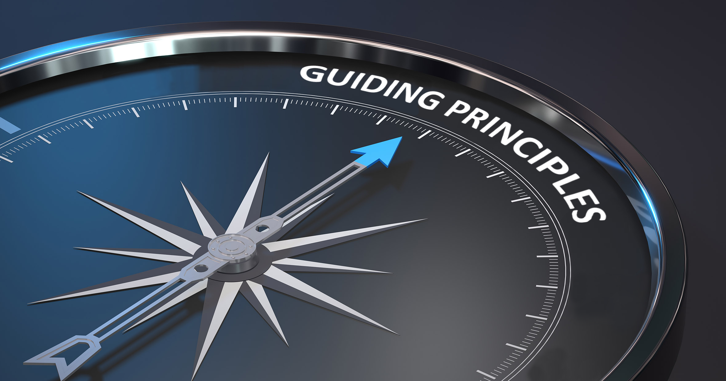 guiding_principle